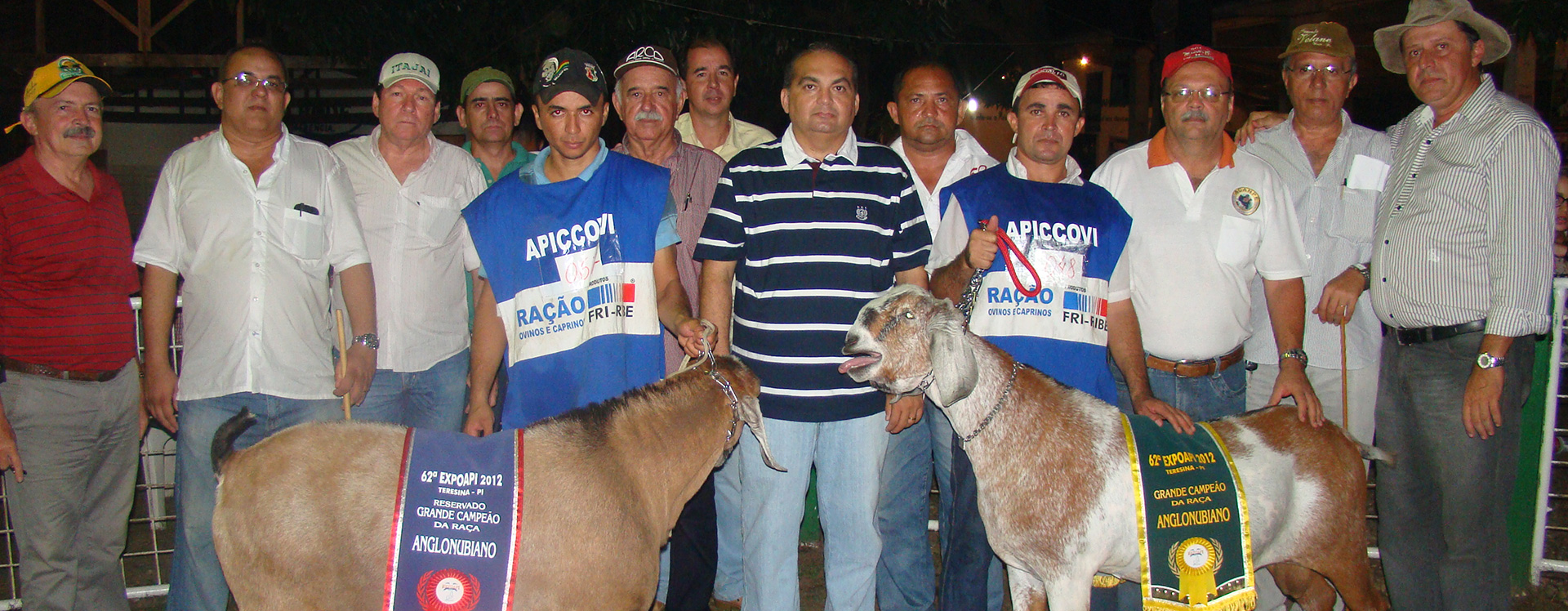 EXPOAPI 2012 - Teresina Piaui