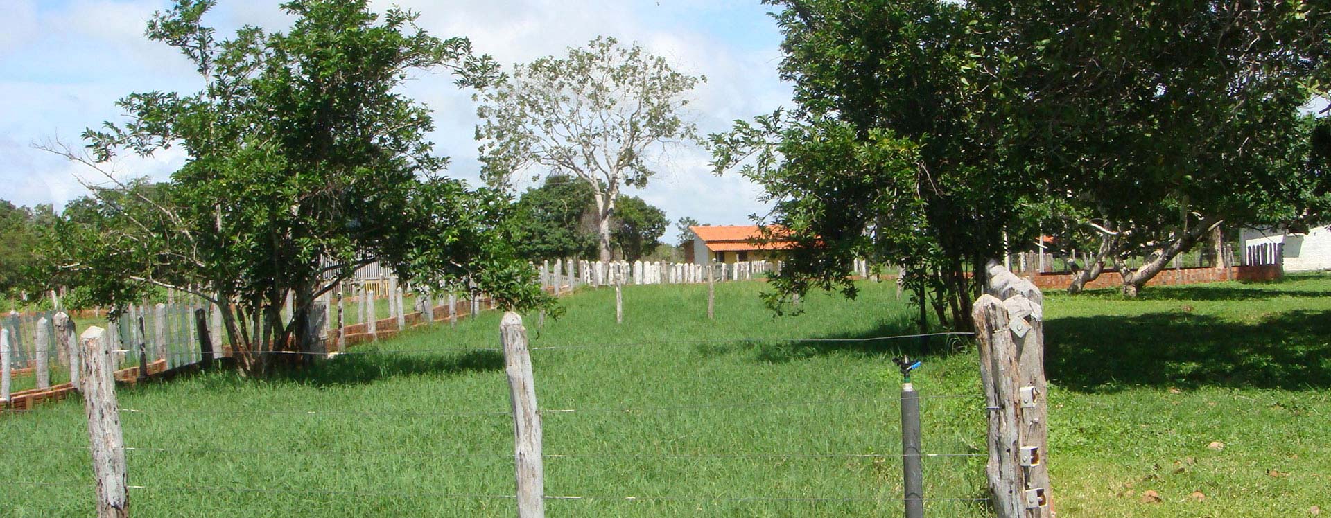 Fazenda Cristal