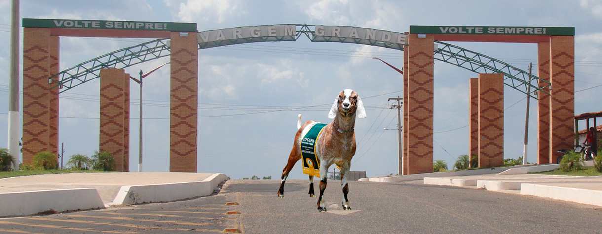 Portal de Vargem Grande